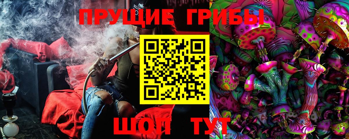 Псилоцибиновые грибы MAGIC MUSHROOMS  Вход с VPN  Гудермес 